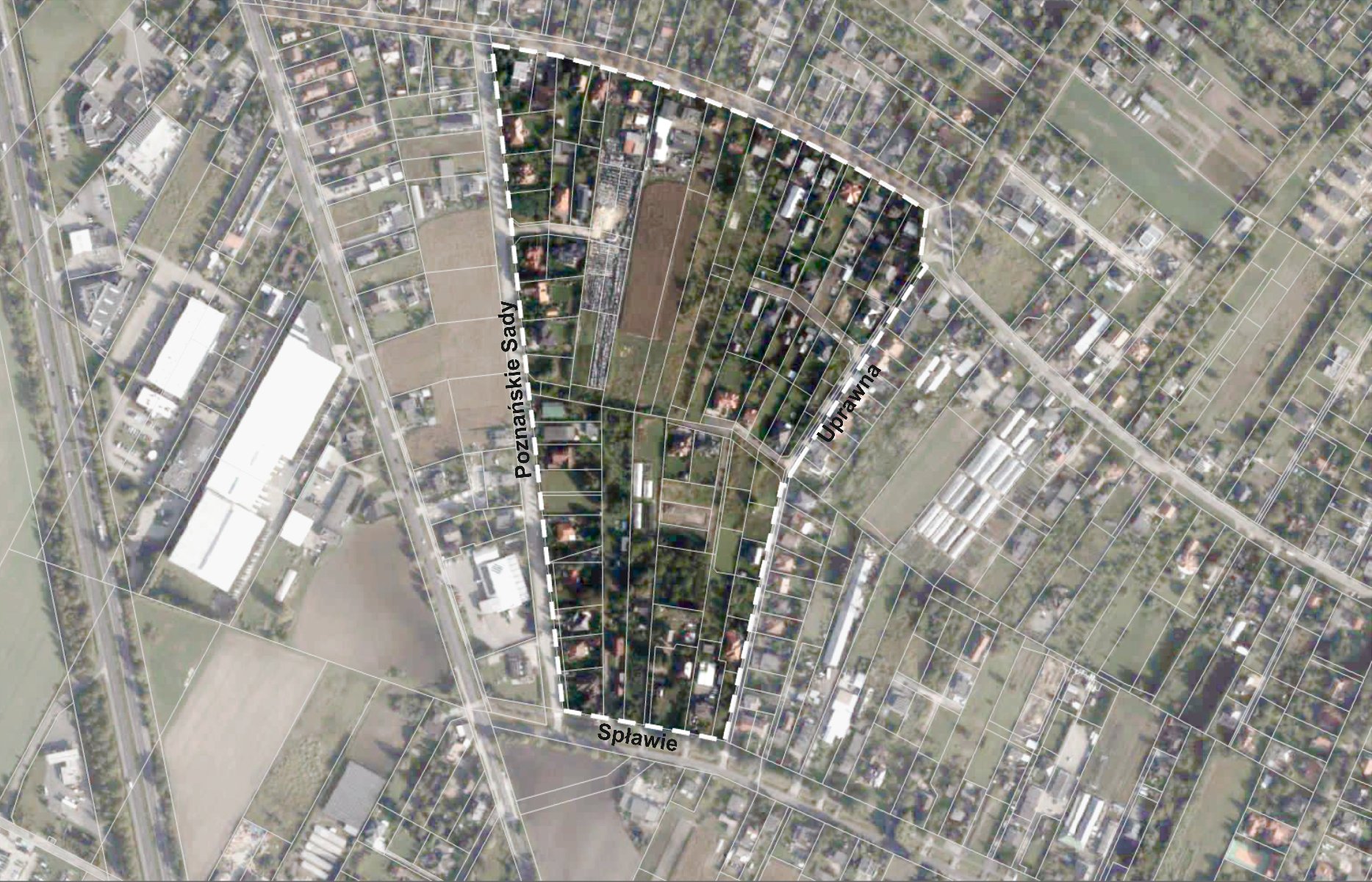 Grafika ilustracyjna (kolor)